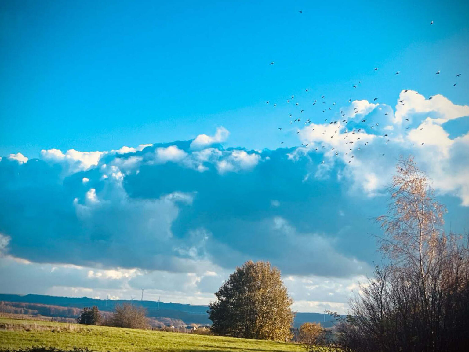 Clarence : cloud souverain et atout maître ? - IDEA